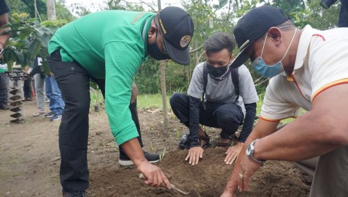 Menanam 2000 Pohon di Girpasang