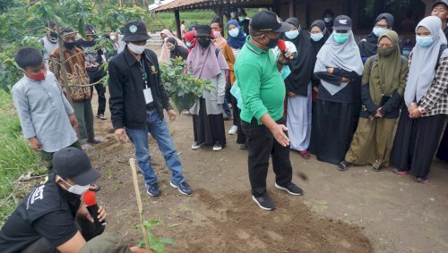 Menanam 2000 Pohon di Girpasang