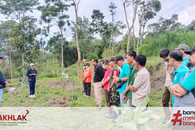 KEGIATAN PENGHIJAUAN DI KECAMATAN KEMALANG