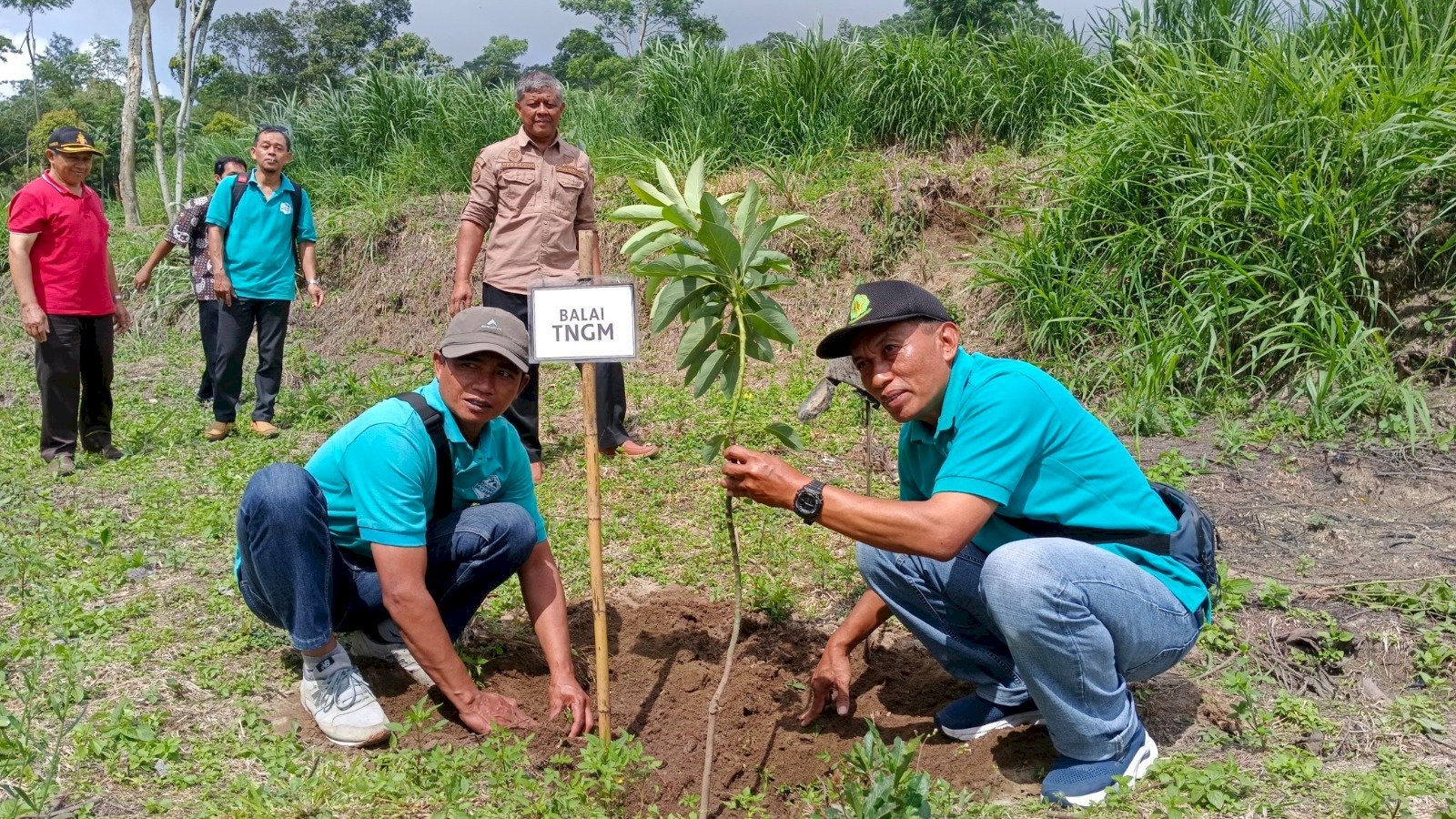 KEGIATAN PENGHIJAUAN DI KECAMATAN KEMALANG