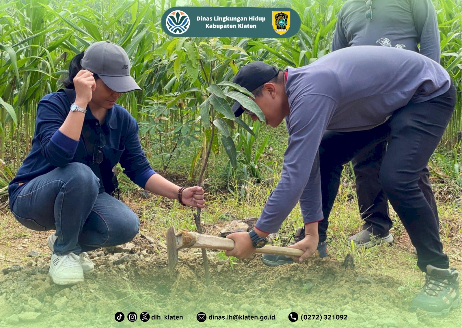 GELAR AKSI PENANAMAN POHON DI DAERAH LAHAN KRITIS KECAMATAN BAYAT