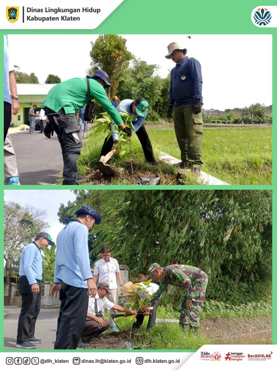 PENANAMAN POHON TURUS JALAN DI DESA DEMAK IJO KECAMATAN KARANGNONGKO