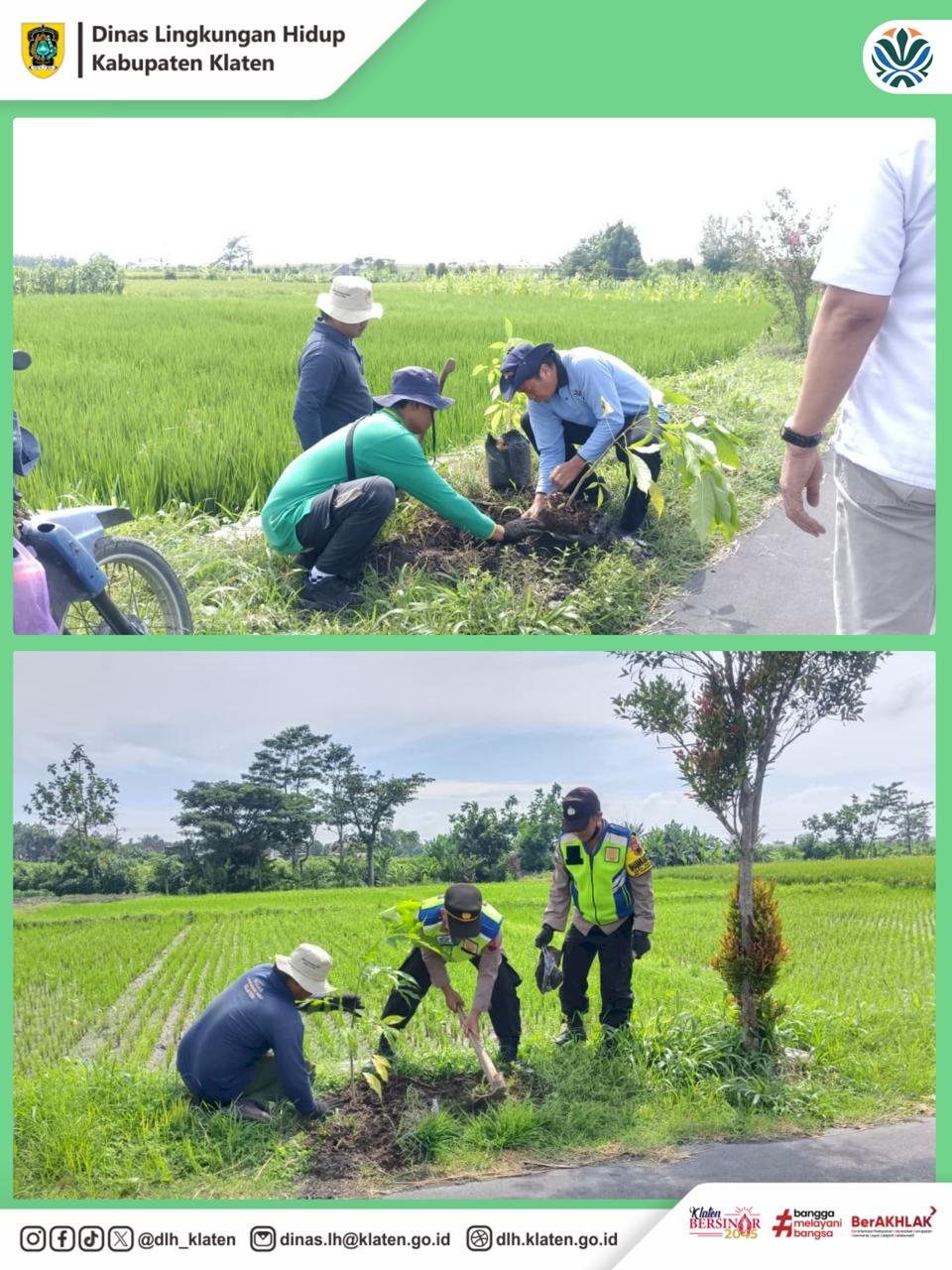 PENANAMAN POHON TURUS JALAN DI DESA DEMAK IJO KECAMATAN KARANGNONGKO